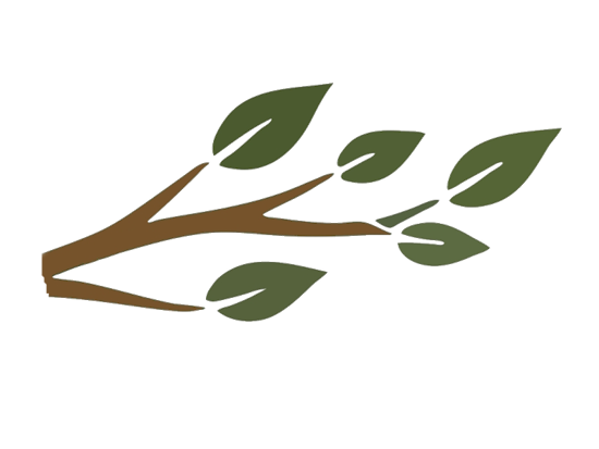 tree branch with green leaves