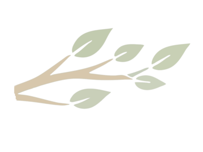 small tree brunch with green leaves